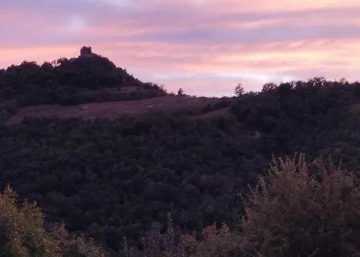 公寓 Pietra Corva - Monticello